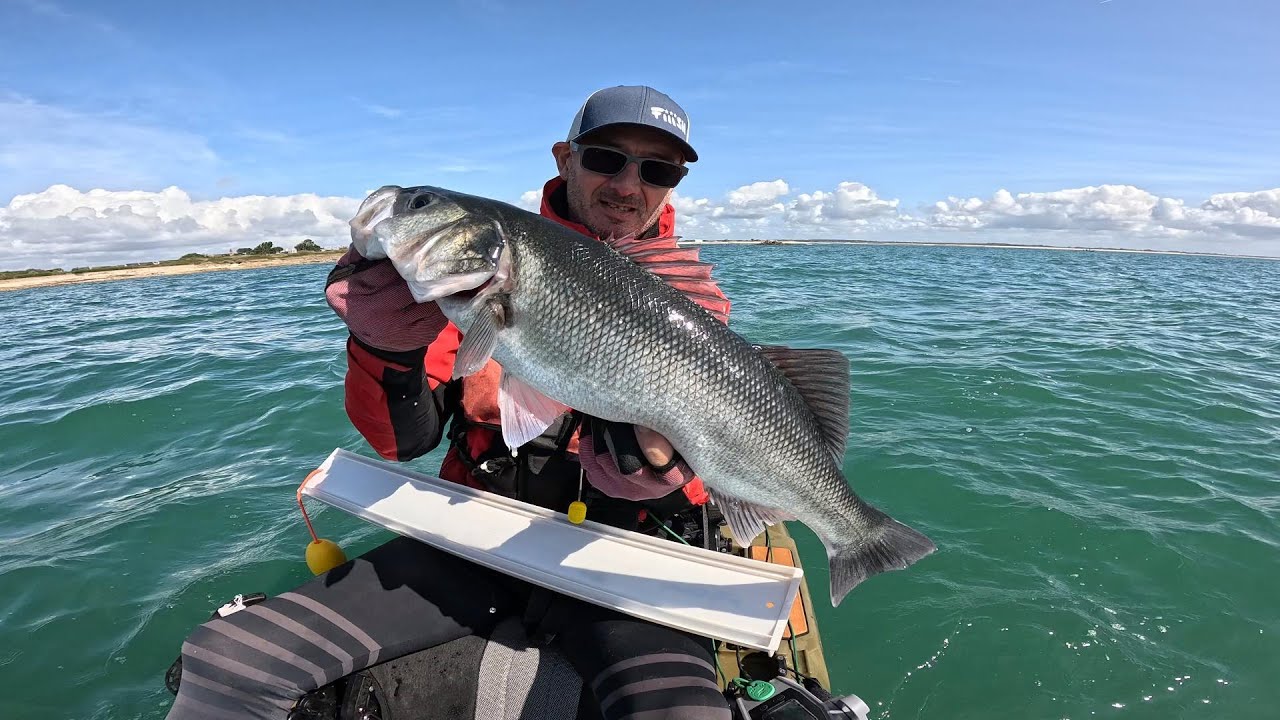Un gros bar sauve ma partie de pêche.