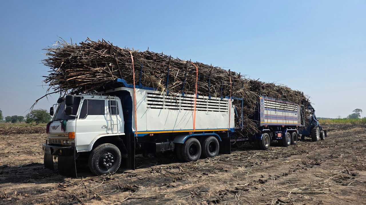 หมกจริงๆคันนี้ Hino FM18 Promax ภายนอกเดิมๆทรงลุง แต่ใส้ในอย่างกับเมก้า320