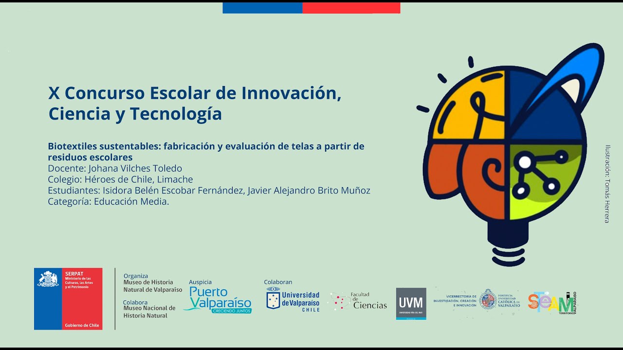 Biotextiles sustentables: fabricación y evaluación de telas a partir de ...