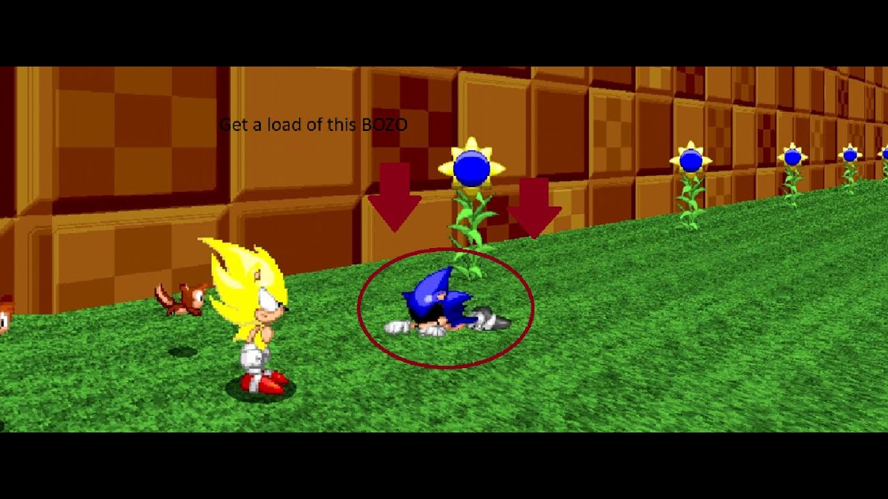 A Super Sonic Hero's lms against 2011x in Sonic Robo Blast 2!