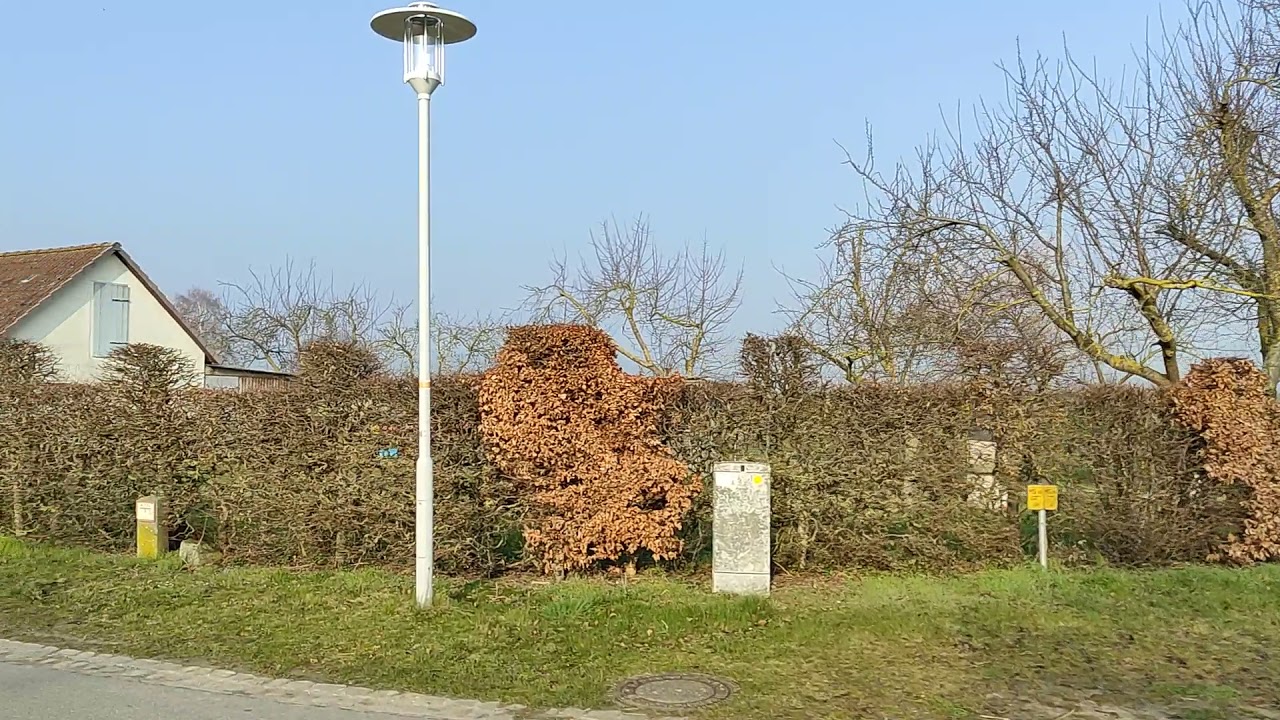 Германия. Как выглядят немецкие 