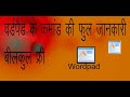 Wordpad Ke Cammand Ki Full Jankari // वर्डपैड के कमांड की फुल जानकारी