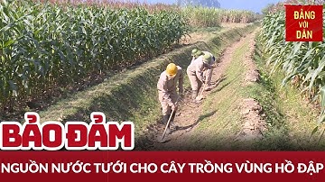 Dự trữ nguồn nước tưới cho cây trồng vùng hồ đập | Đảng với Dân