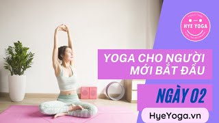 Yoga Cho Người Mới Bắt Đầu | Ngày 02 |  Hye Yoga