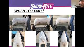 Lamb Showmanship and Exercise