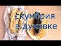 СКУМБРИЯ в духовке