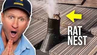 The SMOKE that gets RID of RATS...Fast by Twin Home Experts 34,262 views 4 weeks ago 16 minutes