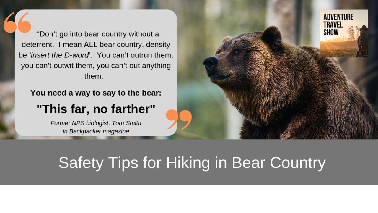 Safety Tips for Hiking in Bear Country YouTube