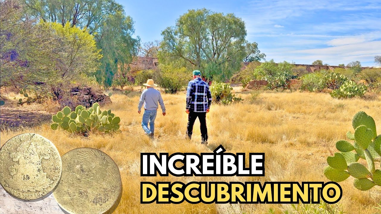 Aquí sacaron DINERO, El hallazgo revela un TESORO de Monedas de ORO