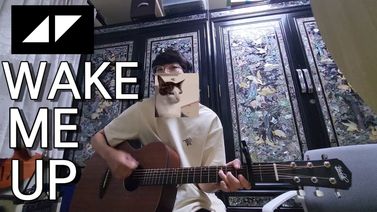 Wake Me Up - Avicii (Acoustic Guitar Cover) - YouTube