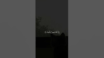 { فَسَتَذۡكُرُونَ مَاۤ أَقُولُ لَكُمۡۚ وَأُفَوِّضُ أَمۡرِیۤ إِلَى ٱللَّهِۚ }#سورة_غافر#قرآن