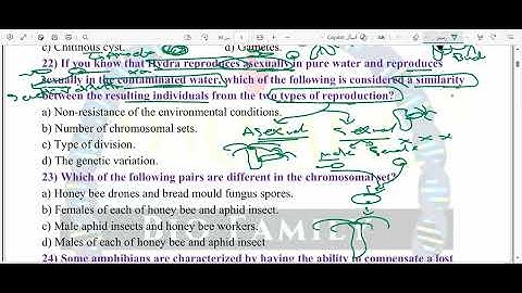 Solving Questions chapter 3 - lesson 2 (PART1) Biology 3rd sec  2026