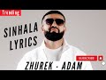 Zhurek adam sinhala lyrics sinhalalyrics trendingsongs  viral viralsongs adam zhurek