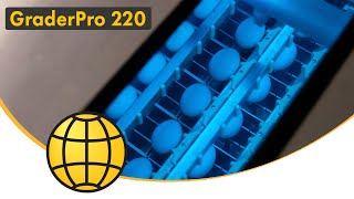 Egg Grading Machine - GraderPro 220 -  For the small- and medium-size egg graders