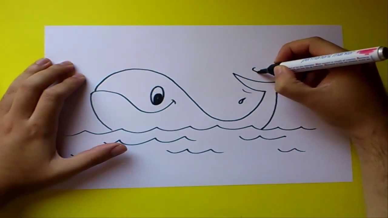 Como dibujar una ballena paso a paso | How to draw a whale - YouTube