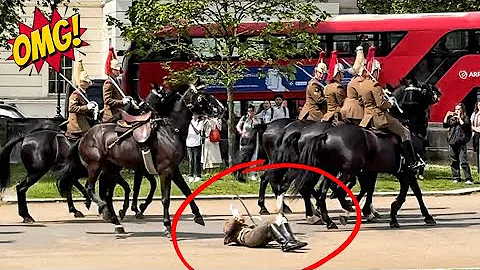 BRAVE TROOPER GETS FLIPPED OFF HORSE IN CENTRAL LONDON - DayDayNews
