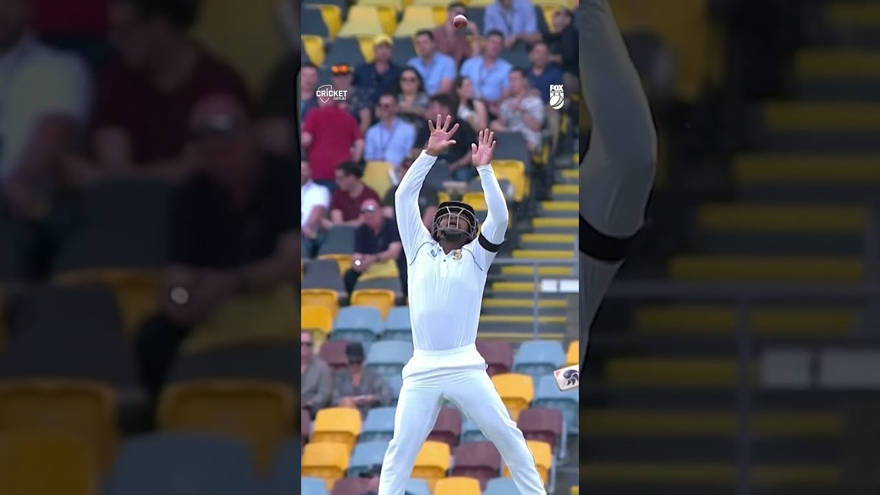 Golden duck for Warner! Zondo takes a pearler #PlayOfTheDay