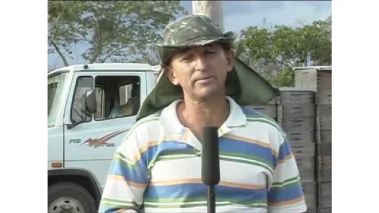 Vídeo documentário 