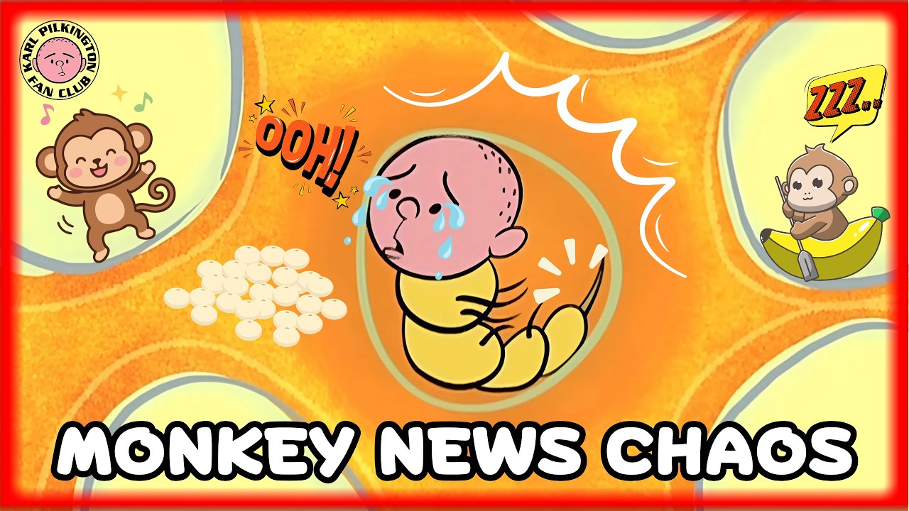 Karl Pilkington’s Wildest Monkey News Story | The Ricky Gervais Show (XFM)