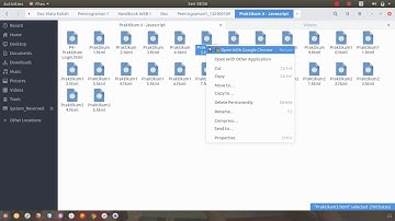 Praktikum Javascript Part 1