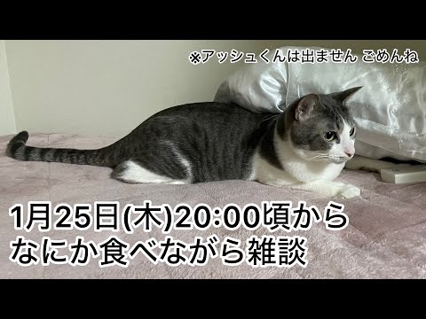 【第14回生配信】なにか食べながら雑談【佐々木琴子】