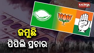 Pipili Bypoll: Massive Election Campaigning Begins In Odisha II Kalinga TV