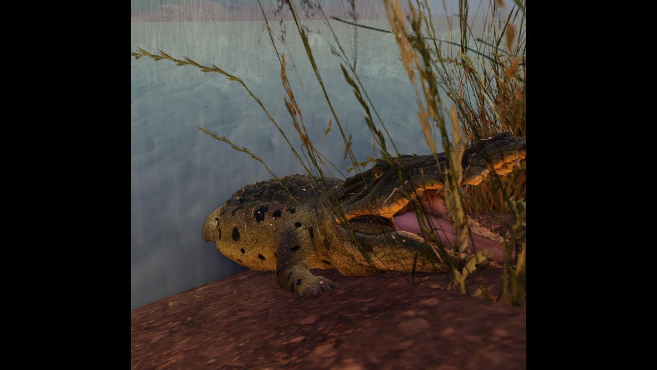 Savannah Life Crocodile Hunting.