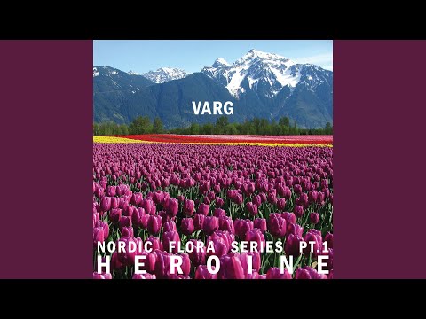 Varg (6) — Heroine I (Ck)