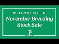 Keeneland Live Feed