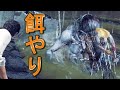 水中の魔物に餌与えてたら仲良くなった【サイコブレイク】