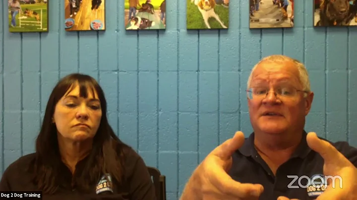 Live Q&A! Dog Training with Scott & Darcy of Dog 2...