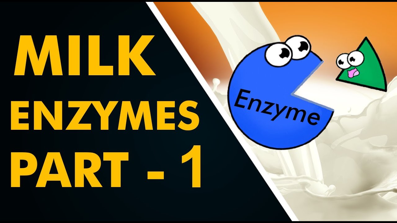 Milk Enzymes Part 1 YouTube
