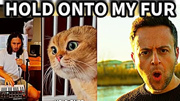 The Kiffness x Spaul x Oh Long Johnson 2.0 - Hold Onto My Fur (Talking Cat Song)