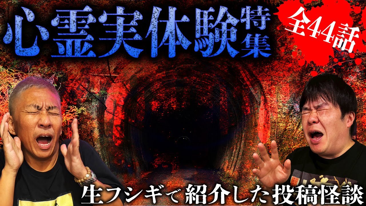 【全44話】視聴者から届いたリアルすぎる心霊実体験SP【ナナフシギ】【怖い話】【生フシギ総集編67】