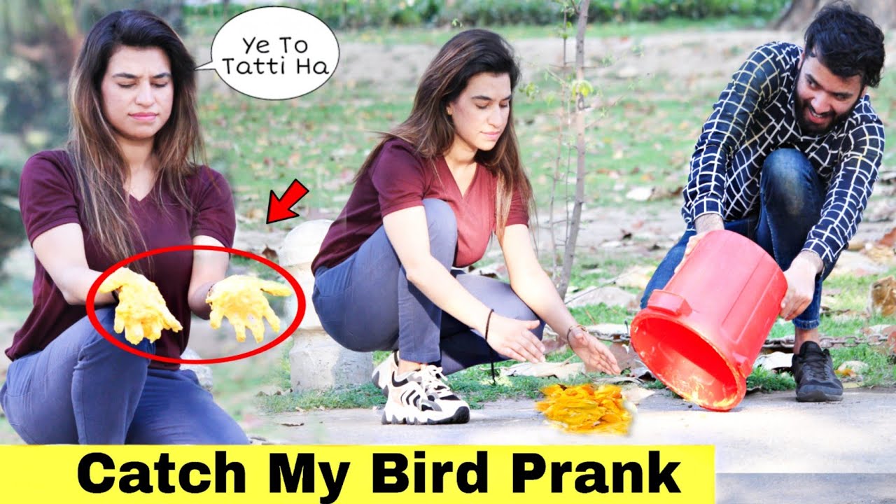 Grab My Pigeon Prank | Prank in Pakistan | 