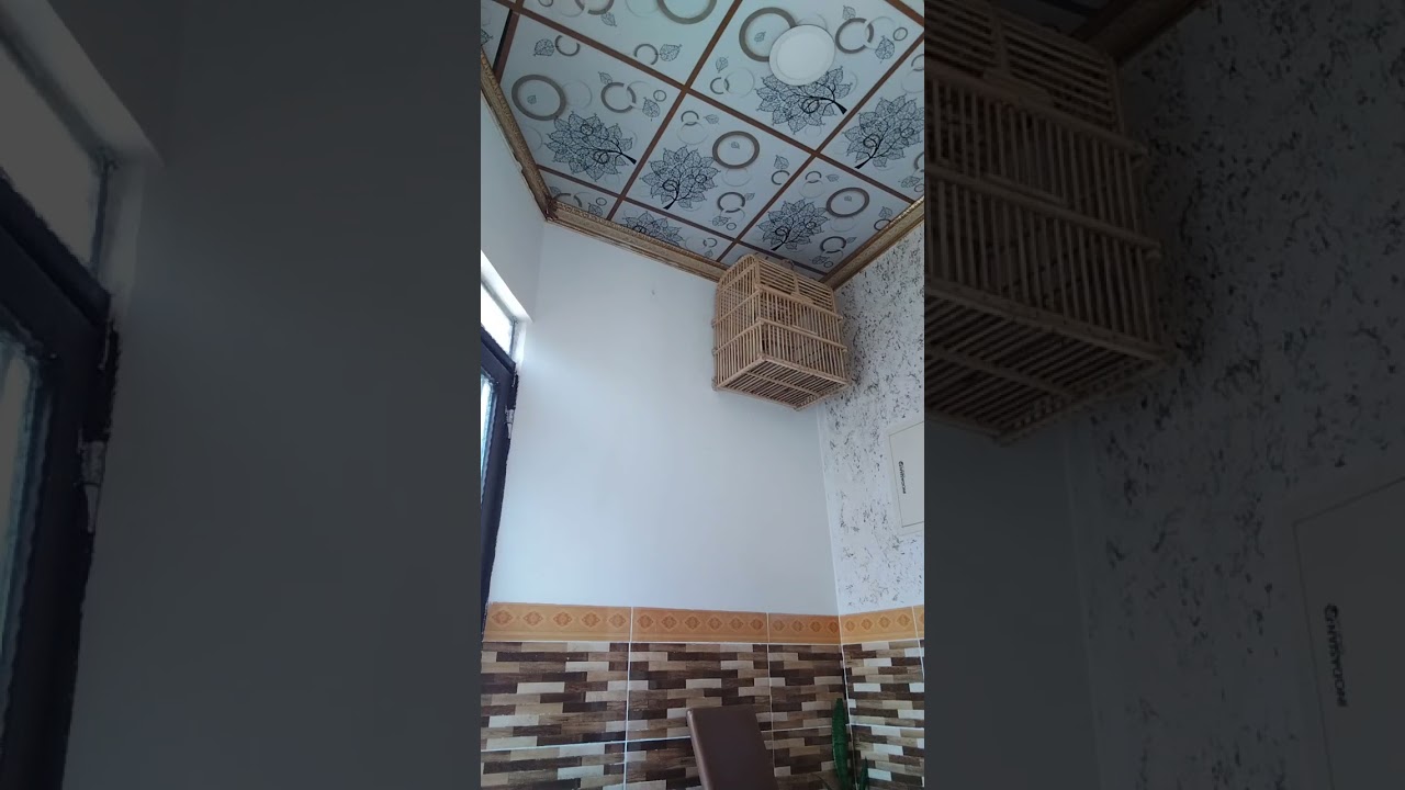 تغريد بلبل من ارقى لغات تراث كركوك كنز ملوك لاحلى المتابعيني 