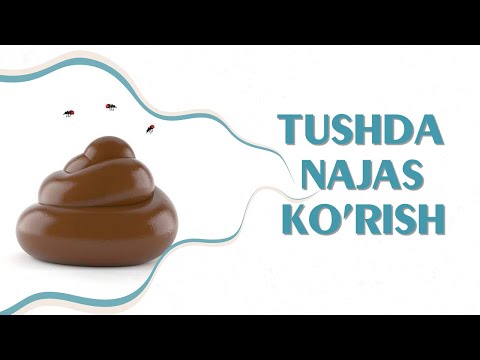 Tushlar tabiri -
