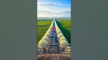 قرآن كريم #القزابري #المصحف #صباح_الخير #nature #اكسبلور #المراه #دويتو