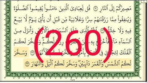 سورة إبراهيم رقم الصفحة 260 مجود بصوت القارئ الشيخ أيمن سويد حفظه الله