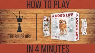 How to Play A Dog's Life in 4 Minutes - The Rules Girl screenshot 1