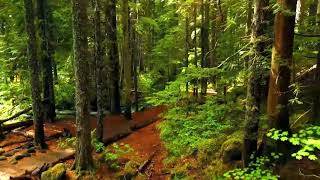 Binaural Beats  Meditation screenshot 5