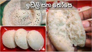 Perfect Homemade Idly and Dosa Recipe II ඉඩ්ලි සහ තෝසෙ මෘදුවට පහසුවෙන්ම හදමු (ENG SUB)