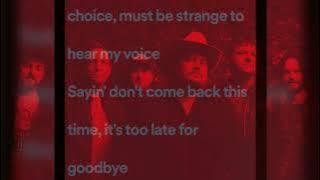 Too Late For Goodbye Lyrics- Randy Rogers Band.