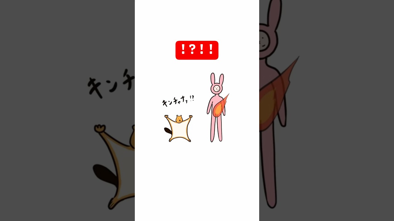 ｷﾝﾁｬﾅｧｧ！！？！