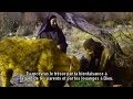 Film  lhistoire de la vache de bani isral avec le prophte moussa
