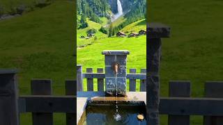 beautiful nature view d 3 nature viral youtubeshorts shorts short