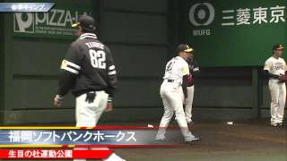 ソフトバンクホークス 春季キャンプ ブルペンの様子④ 20160201