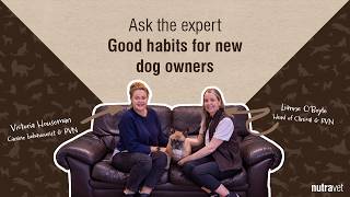 Essential Habits for New Owners | Ask the Expert | Nutravet