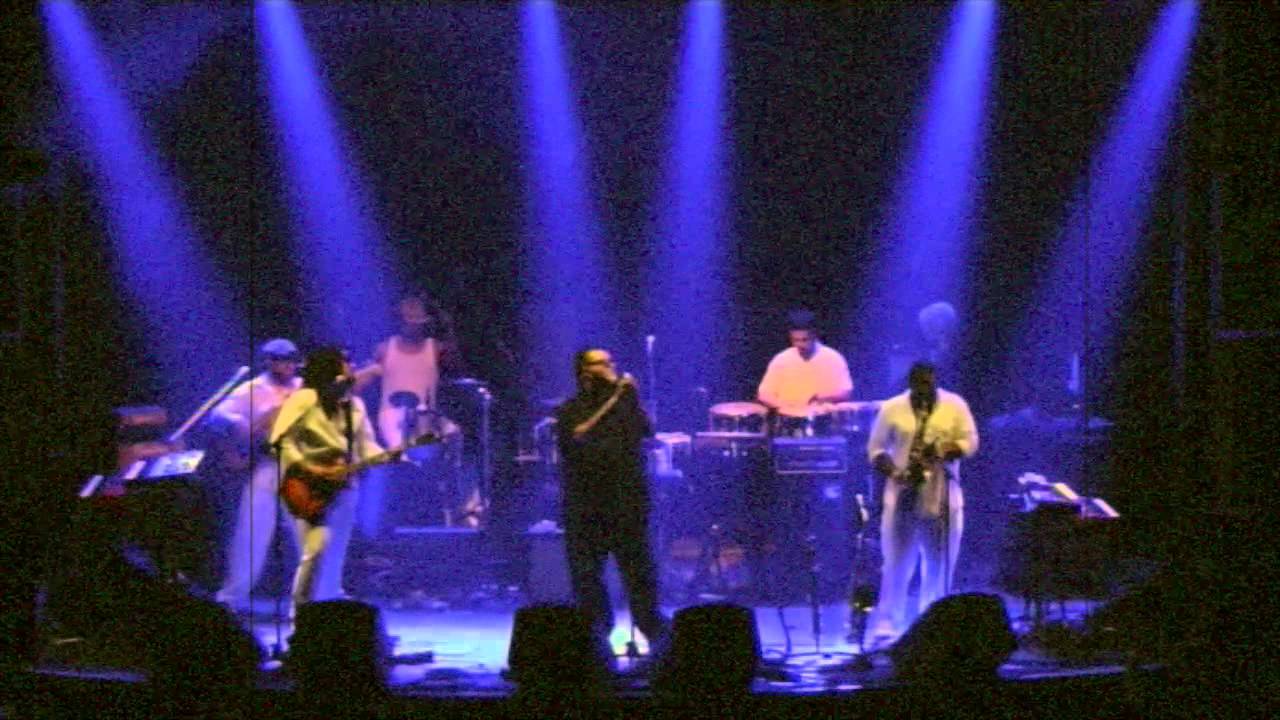 The Effinays -  The Cat [Live]