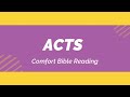 Reading the Book of Acts (NIV)